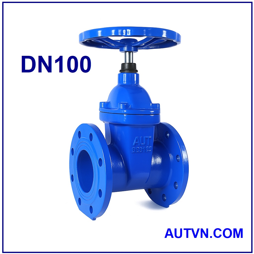 Van cổng ty chìm tay quay AUT DN100