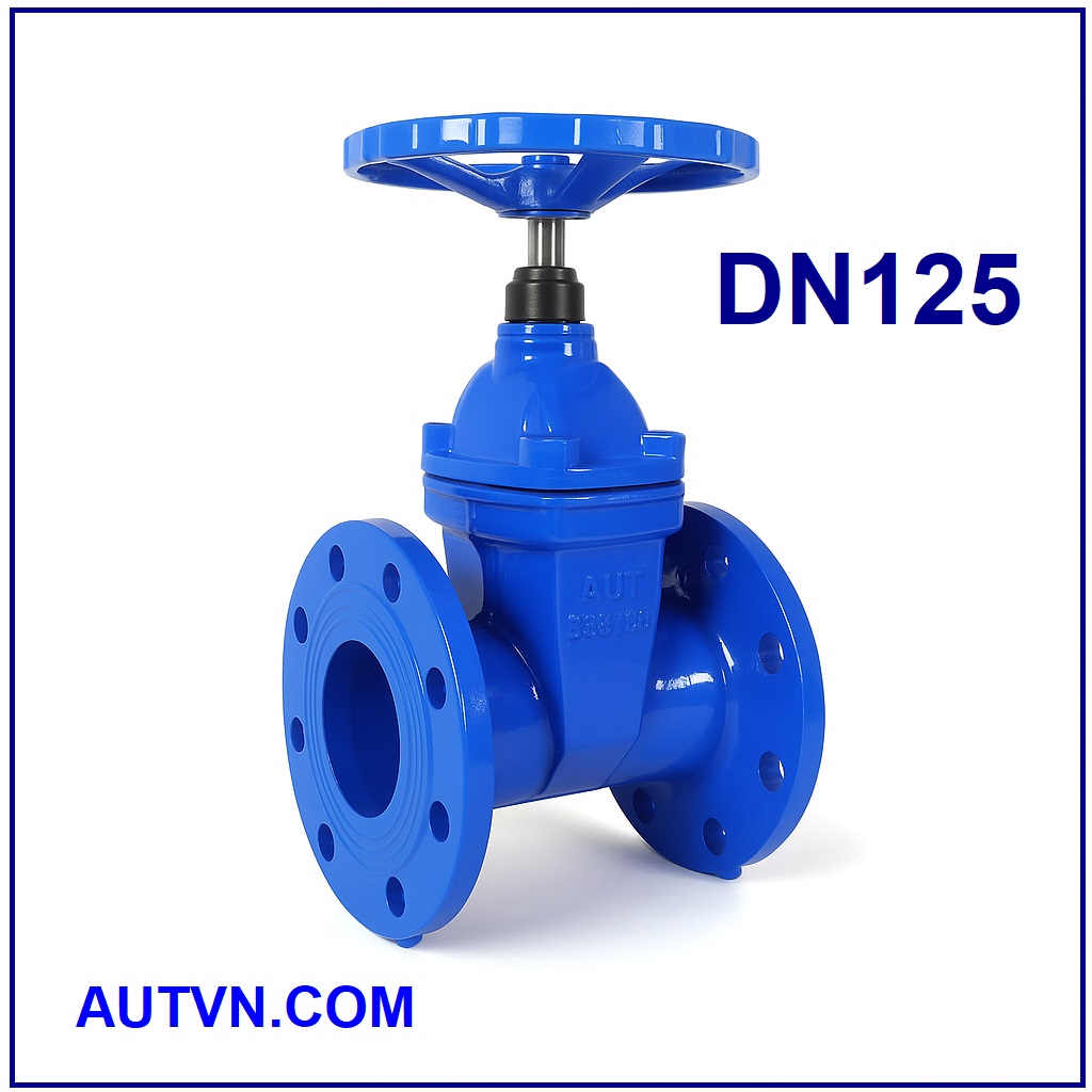 Van cổng ty chìm tay quay AUT DN125