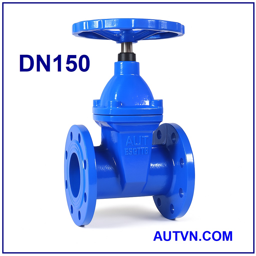 Van cổng ty chìm tay quay AUT DN150