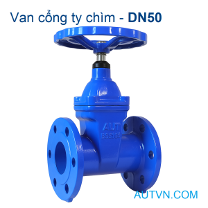 van cổng ty chìm tay quay AUT DN50