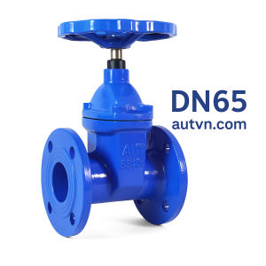 Van cổng ty chìm tay quay DN65