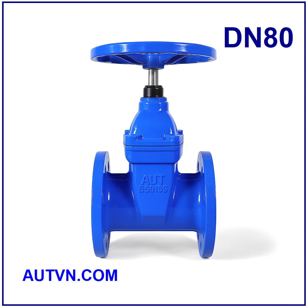 Van cổng tay quay DN80