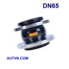 Khớp nối mềm AUT DN65