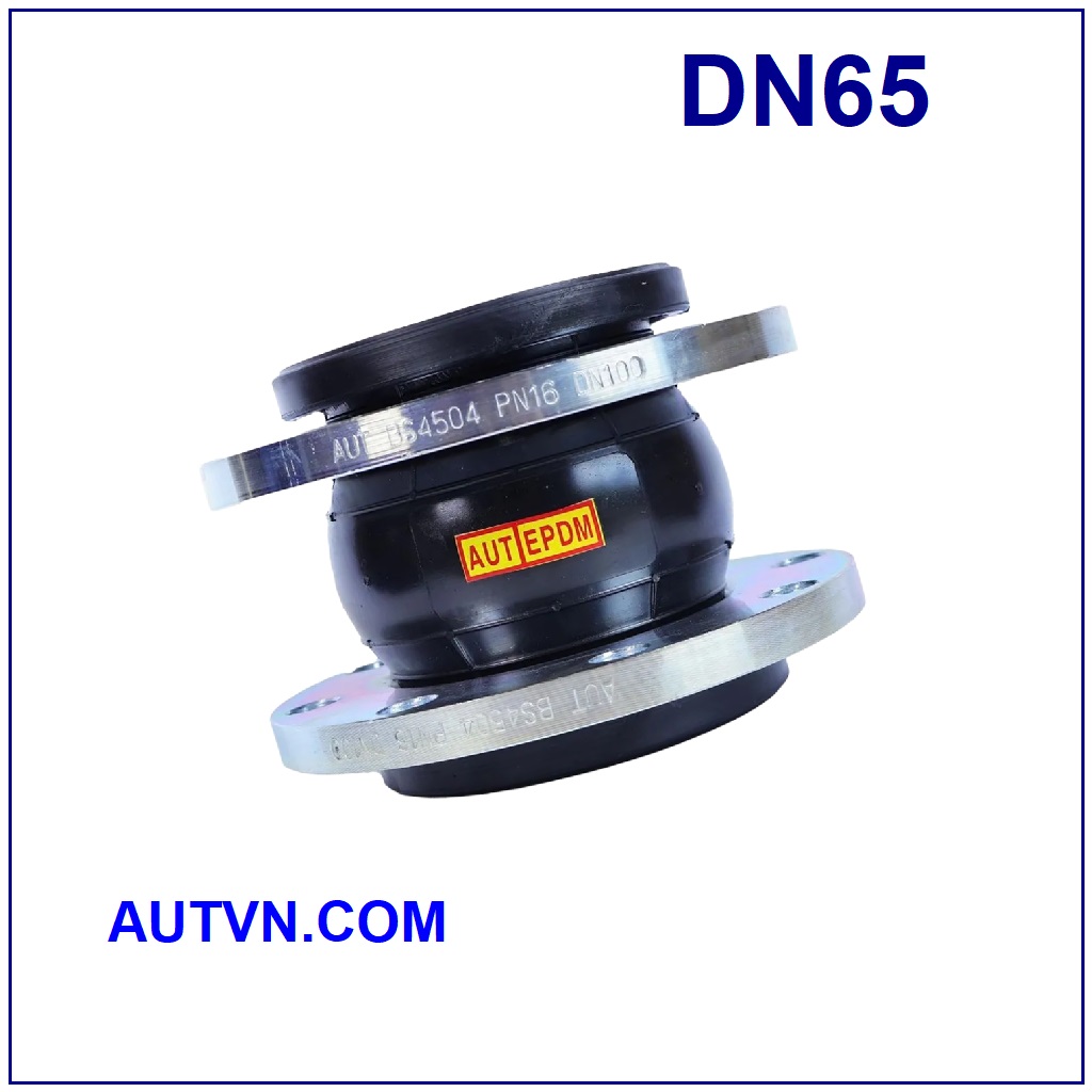 Khớp nối mềm AUT DN65