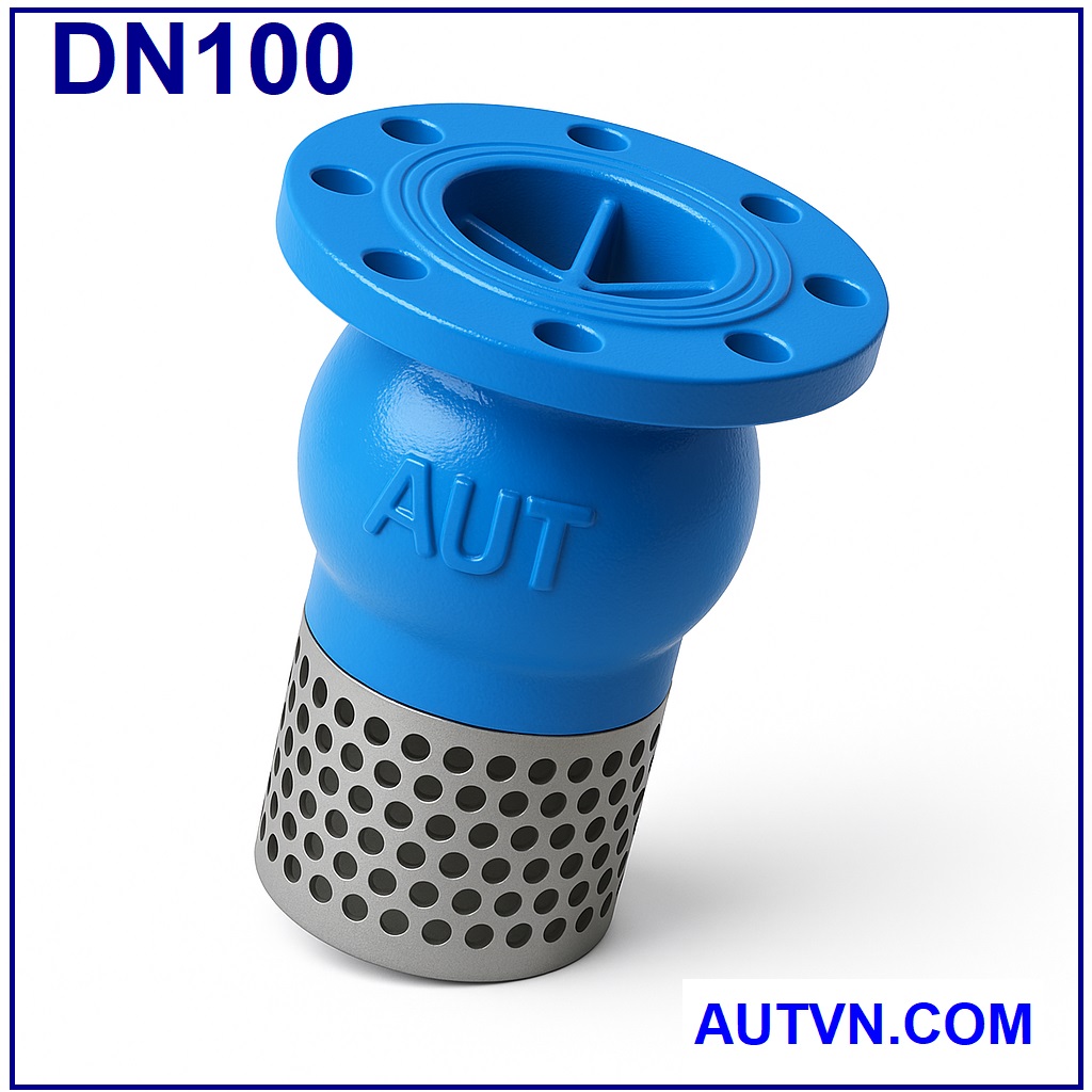 Rọ bơm AUT DN100