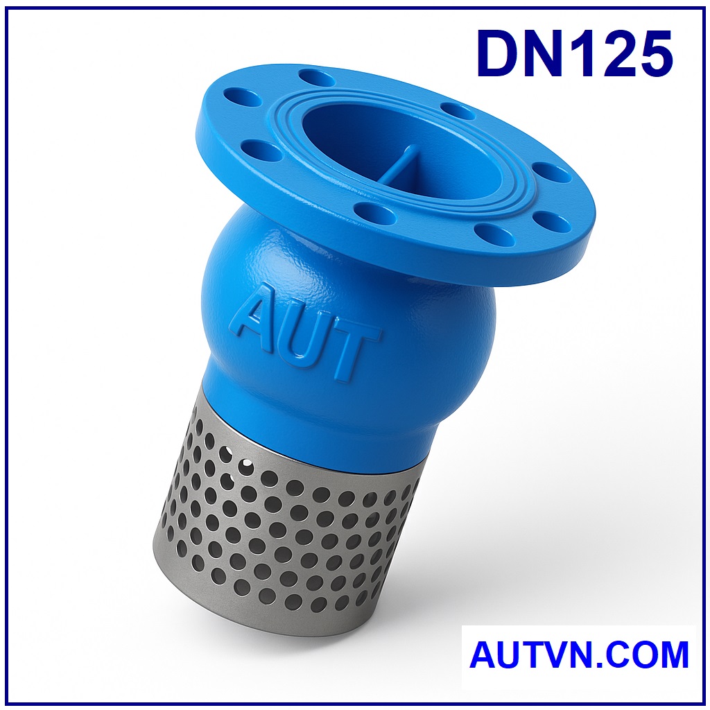 Rọ bơm AUT DN125