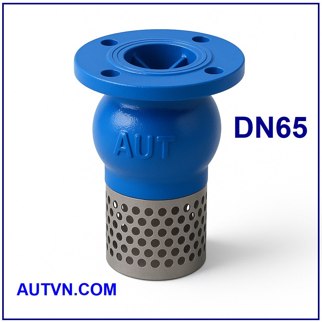 Rọ bơm AUT DN65