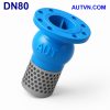 Rọ bơm AUT DN80