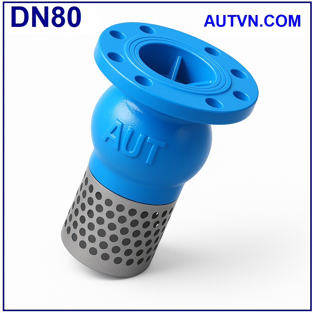 Rọ bơm AUT DN80
