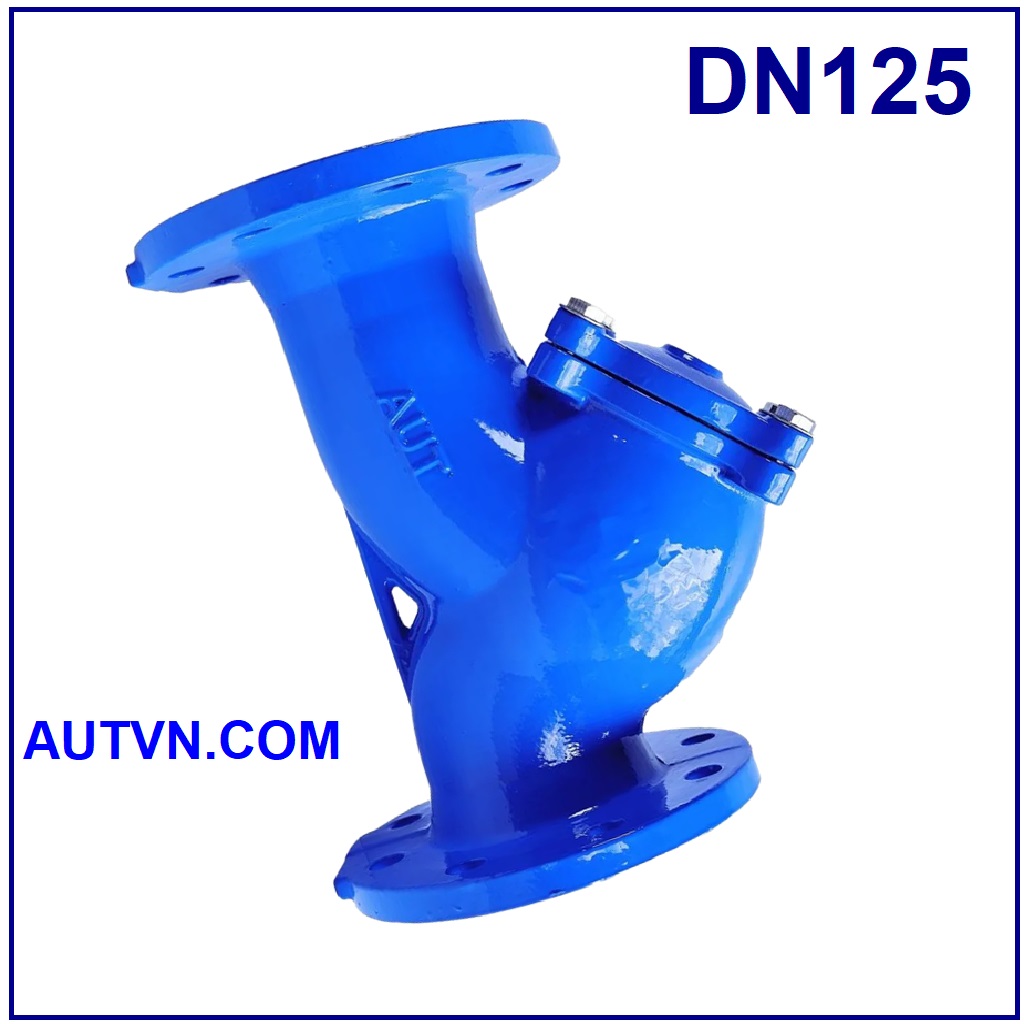 Y lọc AUT DN125