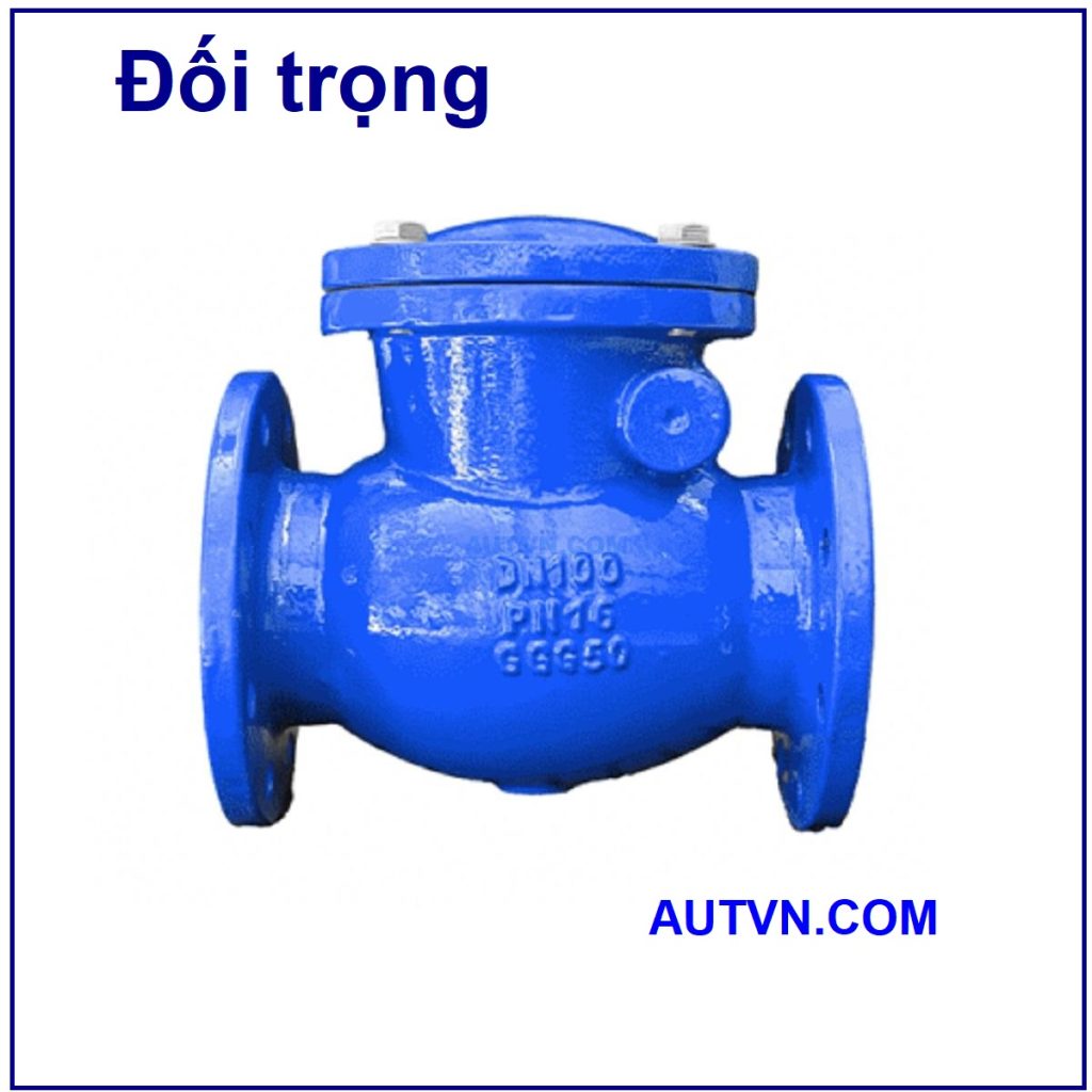 Van 1 chiều đối trọng AUT