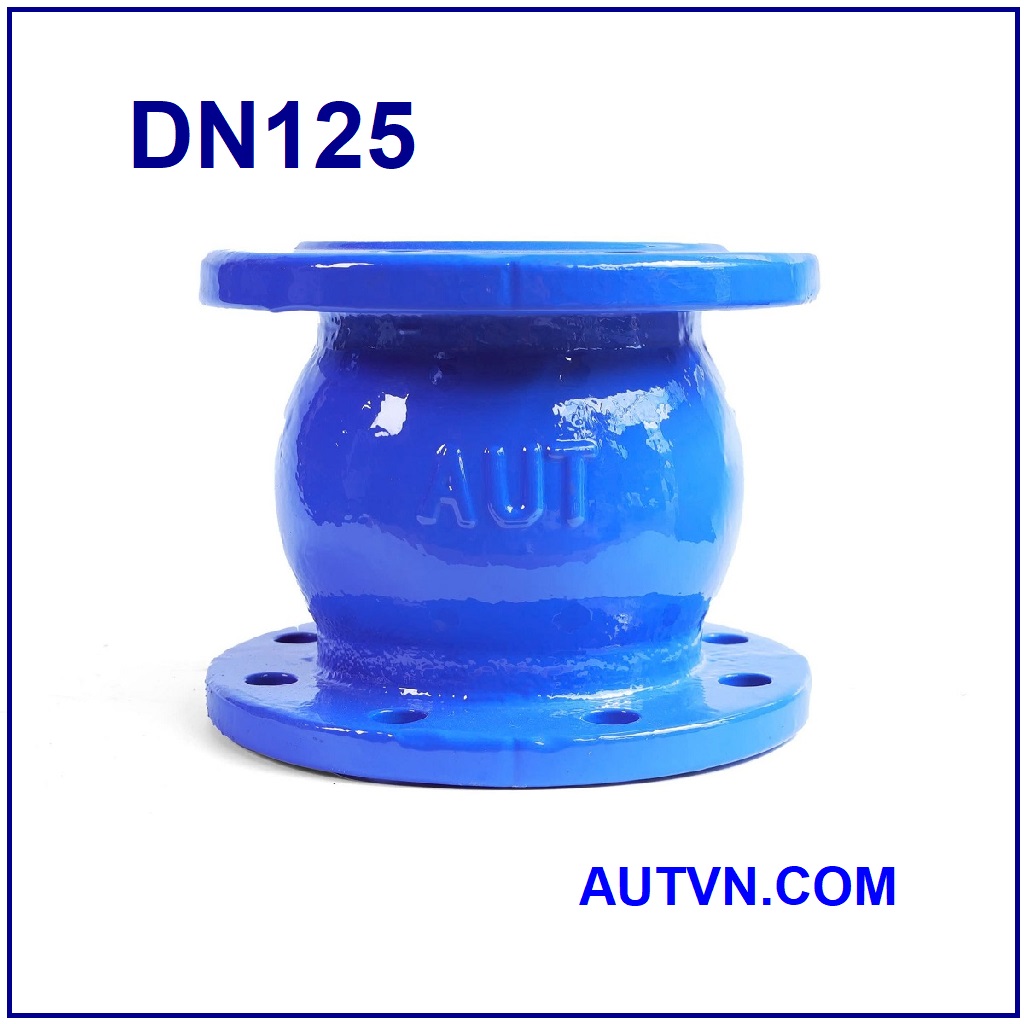 Van 1 chiều lò xo AUT DN125