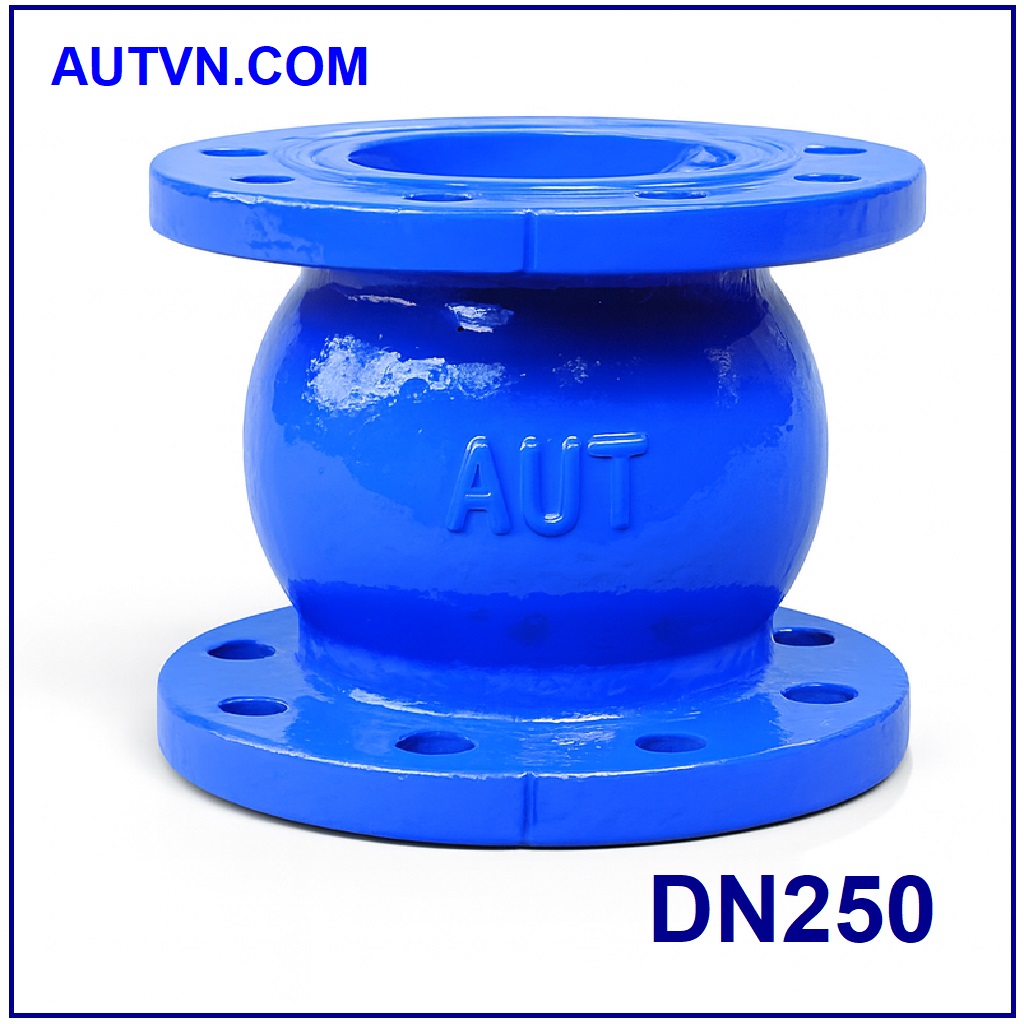 Van 1 chiều lò xo AUT DN250
