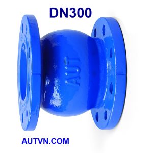 Van 1 chiều lò xo AUT DN300