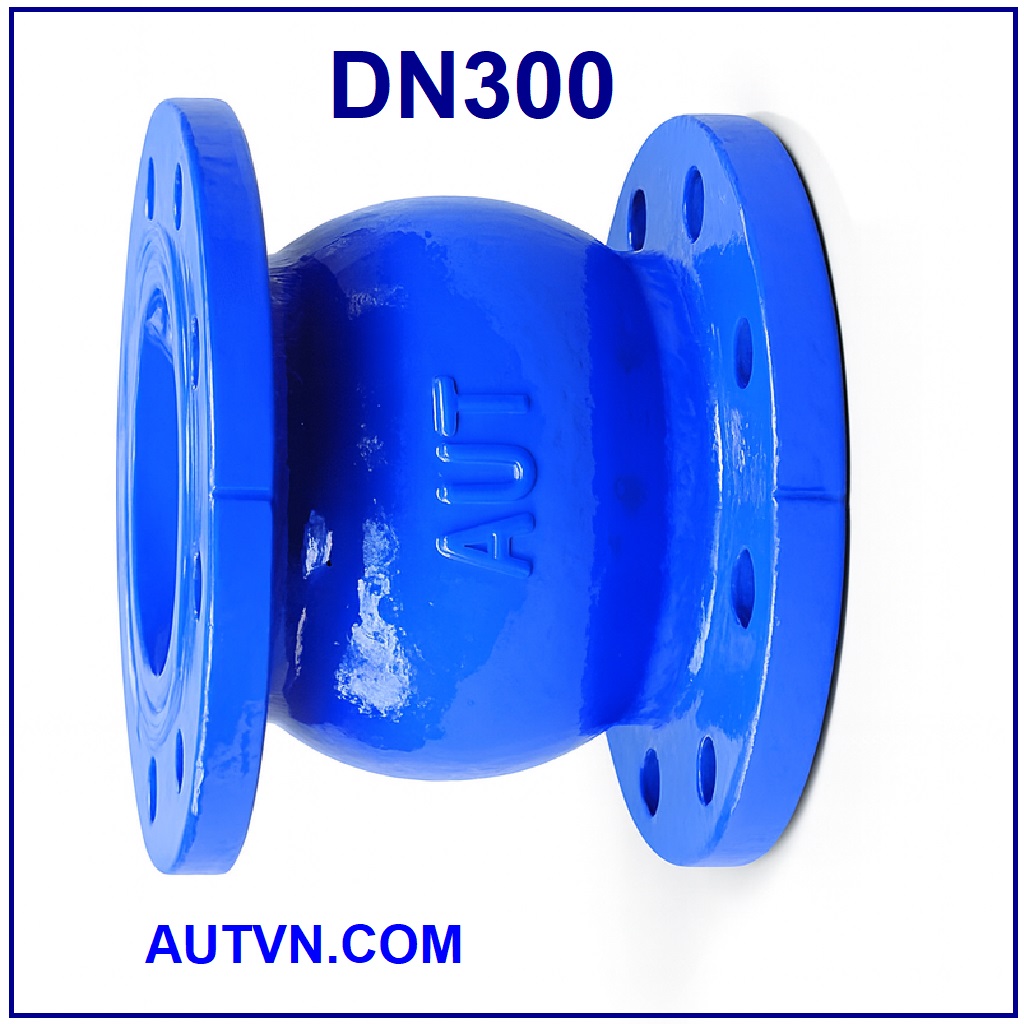 Van 1 chiều lò xo AUT DN300