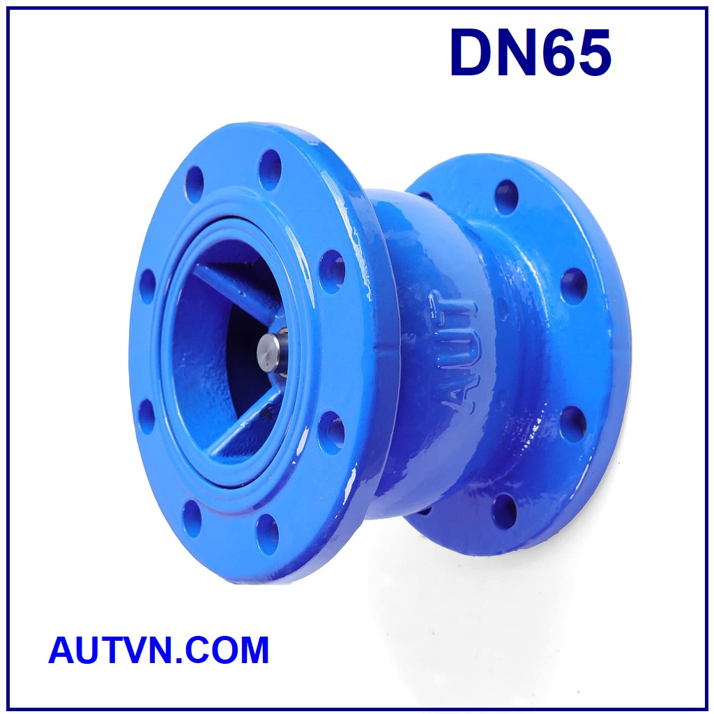 Van 1 chiều lò xo AUT DN65