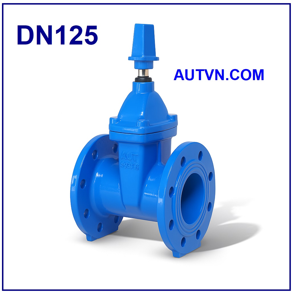 Van cổng ty chìm nắp chụp AUT DN125