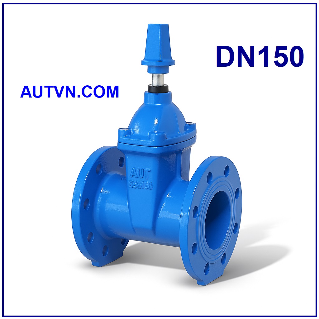 Van cổng ty chìm nắp chụp AUT DN150