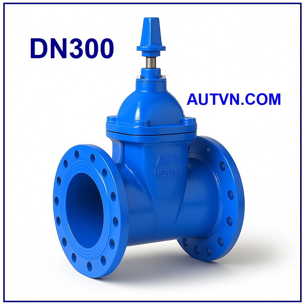 Van cổng ty chìm nắp chụp AUT DN300