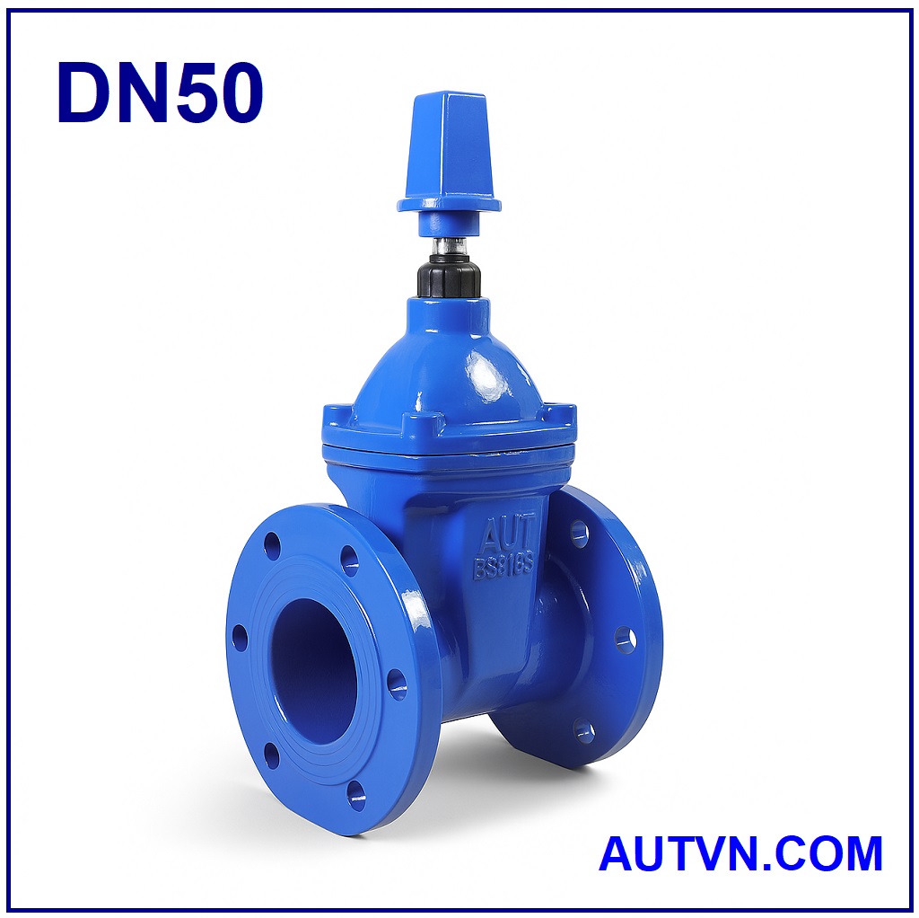 Van cổng ty chìm nắp chụp AUT DN50