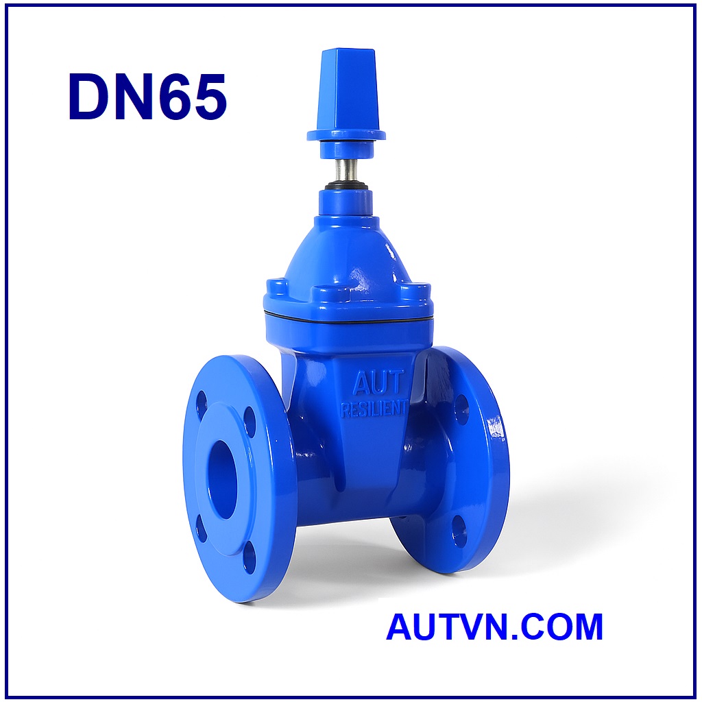 Van cổng ty chìm nắp chụp AUT DN65