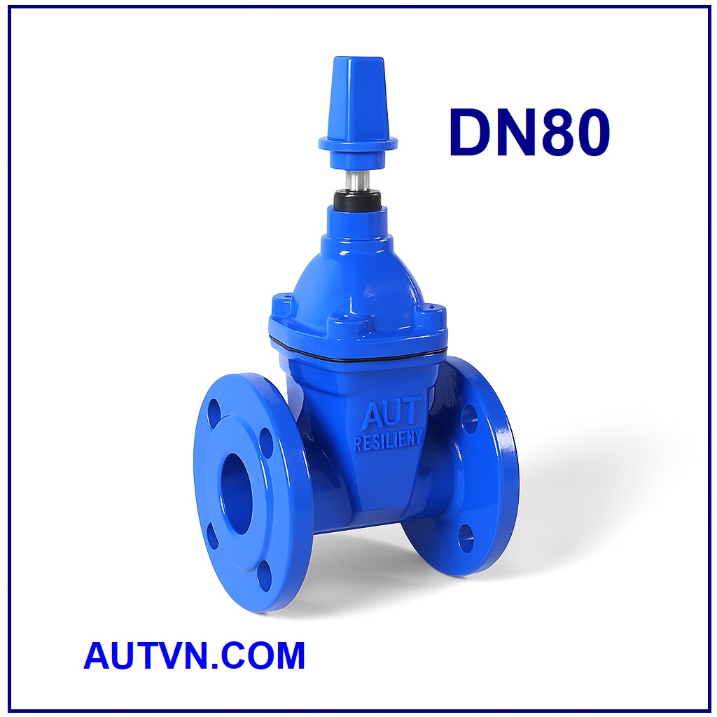 Van cổng ty chìm nắp chụp AUT DN80