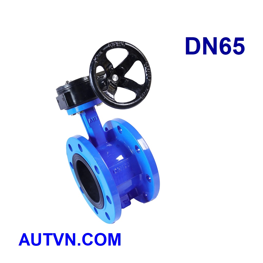 Van bướm 2 mặt bích AUT DN65