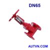 Van cổng tín hiệu điện AUT DN65