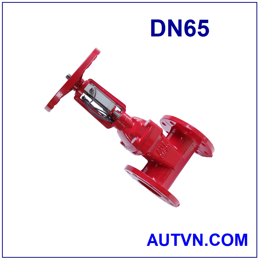 Van cổng tín hiệu điện AUT DN65