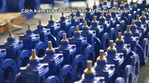 Cách kiểm tra và bảo trì van AUT sau thời gian sử dụng