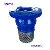 Rọ bơm AUT DN250