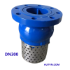 Rọ bơm AUT DN300