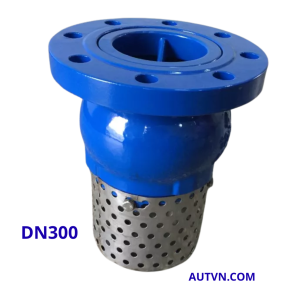 Rọ bơm AUT DN300