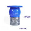 Rọ bơm AUT DN350