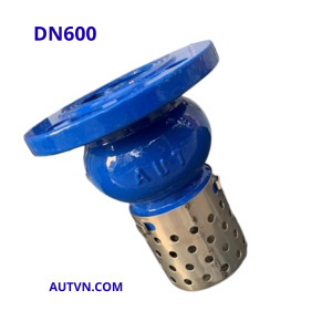 Rọ bơm AUT DN600