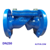 Van 1 chiều lá lật AUT DN250