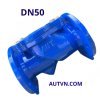 Van 1 chiều lá lật AUT DN50
