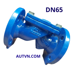 Van 1 chiều lá lật AUT DN65