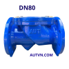 Van 1 chiều lá lật AUT DN80