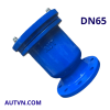 Van xả khí bích AUT DN65