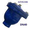 Van xả khí ren AUT DN40