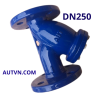 Y lọc AUT DN250