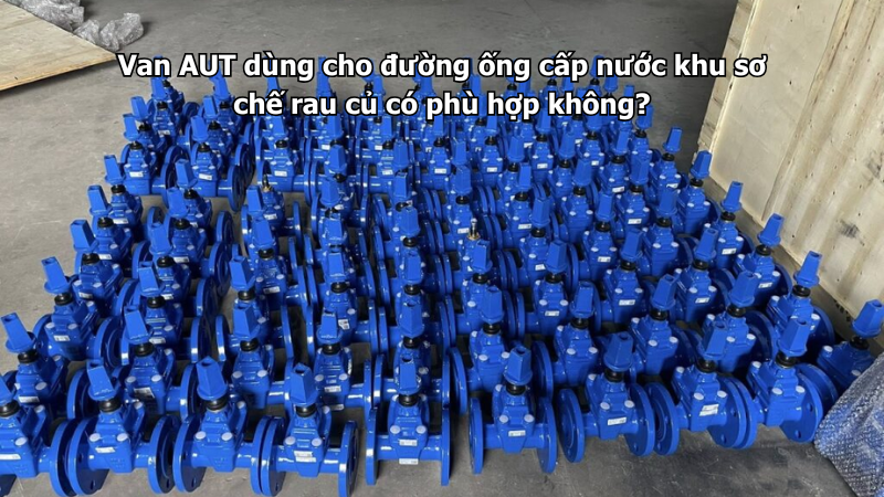 Van AUT dùng cho đường ống cấp nước khu sơ chế rau củ có phù hợp không?