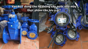 Van AUT dùng cho hệ thống cấp nước nhà máy thực phẩm cần lưu ý gì?
