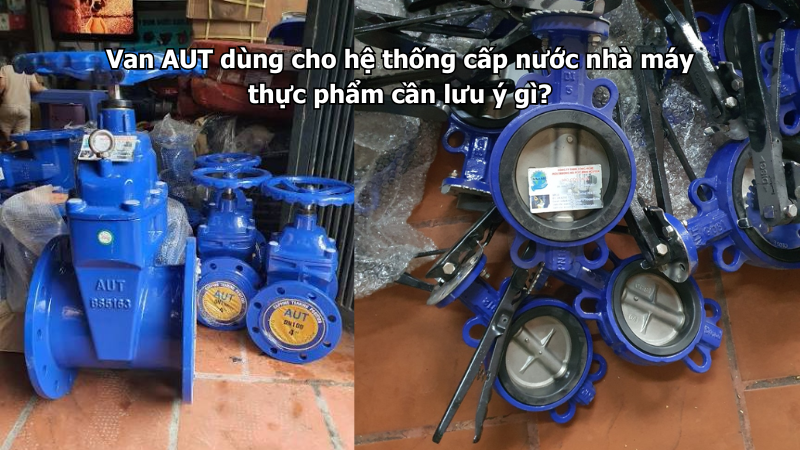 Van AUT dùng cho hệ thống cấp nước nhà máy thực phẩm cần lưu ý gì?
