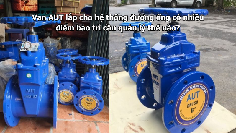 Van AUT lắp cho hệ thống đường ống có nhiều điểm bảo trì cần quản lý thế nào?